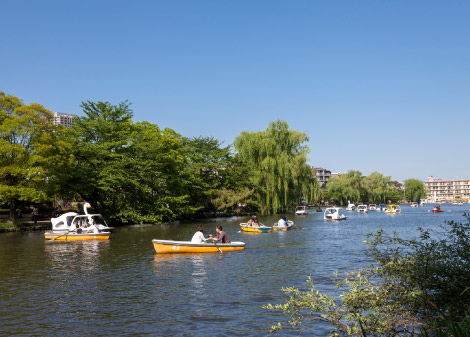 石神井公園