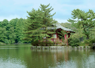 石神井公園