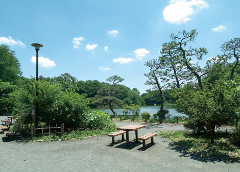 善福寺公園