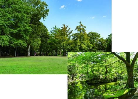 井草森公園(杉並区)