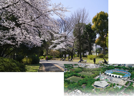 駒沢オリンピック公園