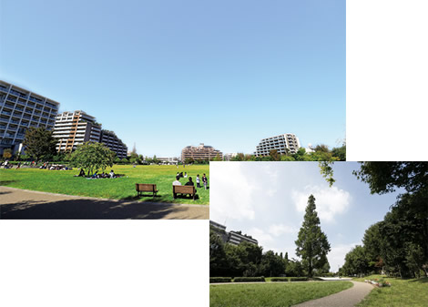 桃井原っぱ公園(杉並区)