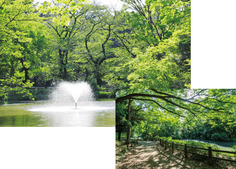 和田堀公園(杉並区)