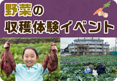 会員限定イベント