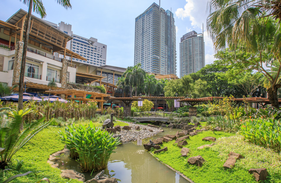 グリーンベルト