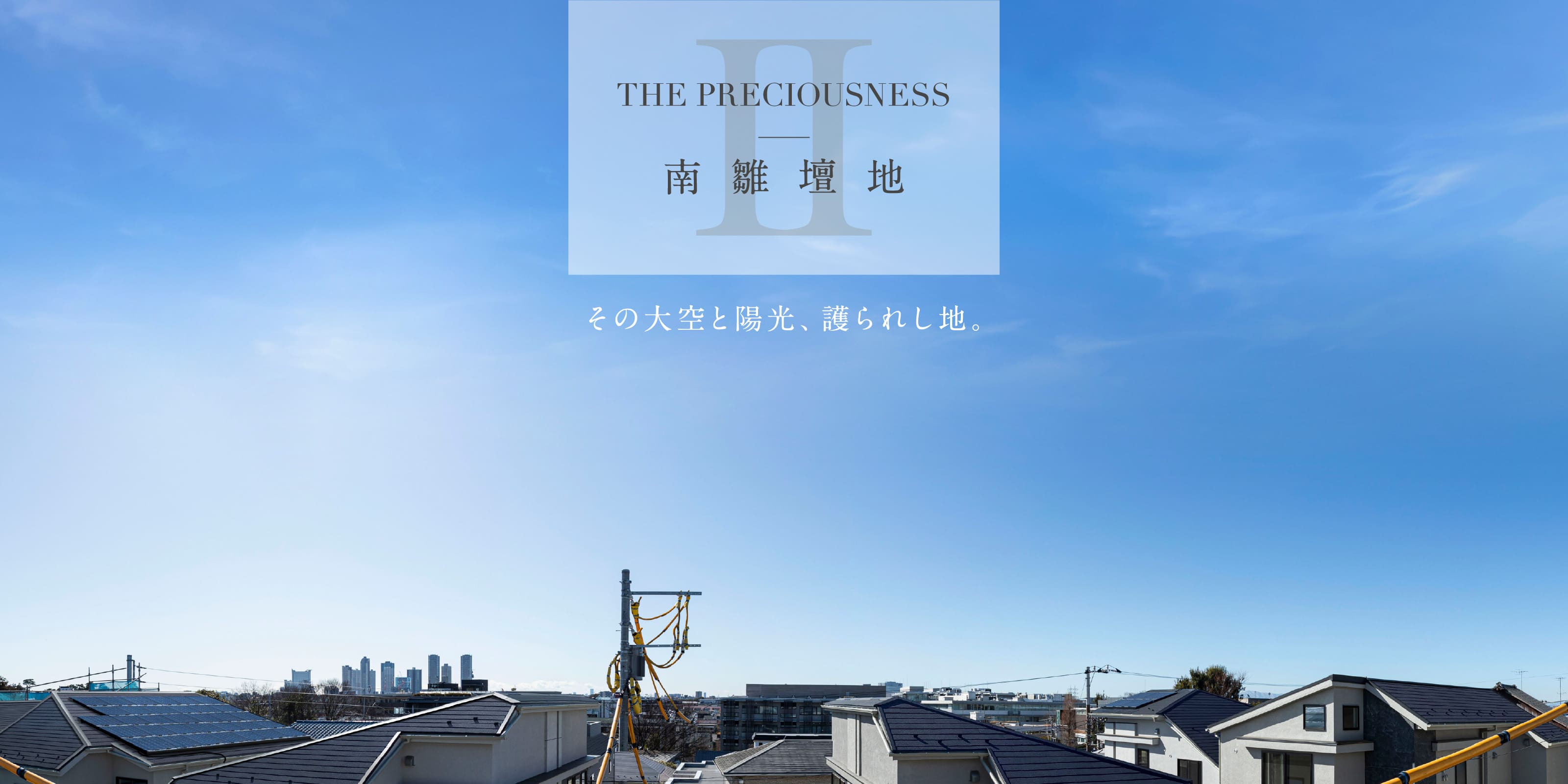 現地眺望（＊1）