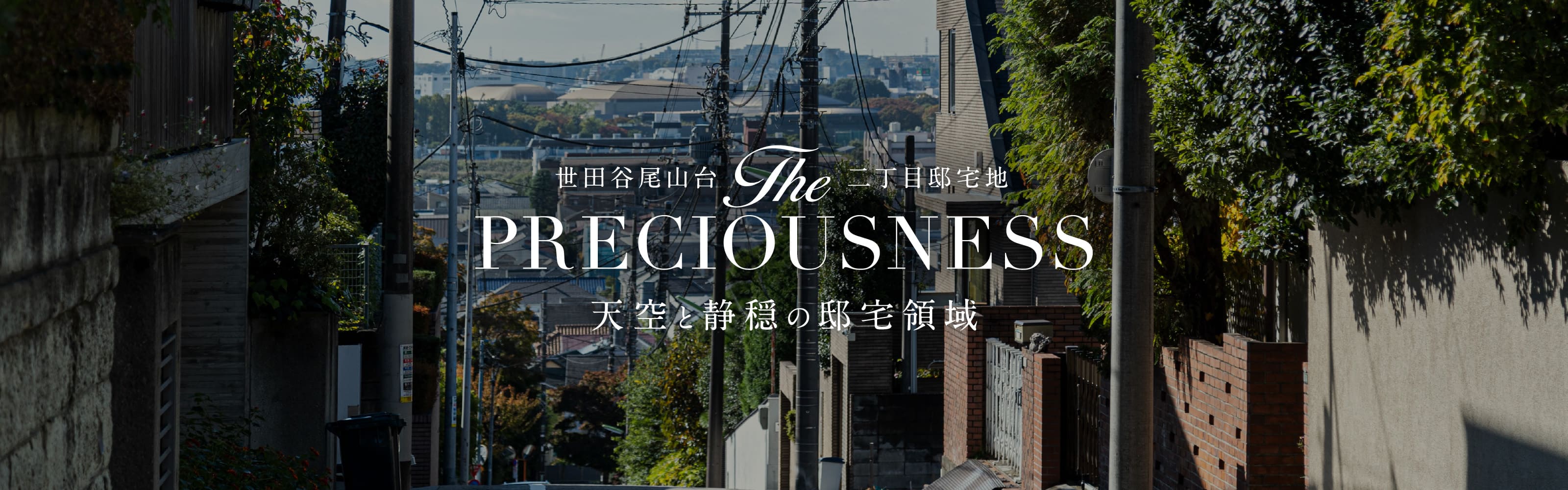 現地周辺街並み／徒歩5分（No.1〜3・10・11）、徒歩6分（No.4〜9）