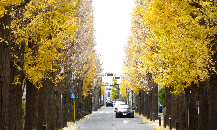 現地周辺街並み 徒歩8分(No.1〜5)