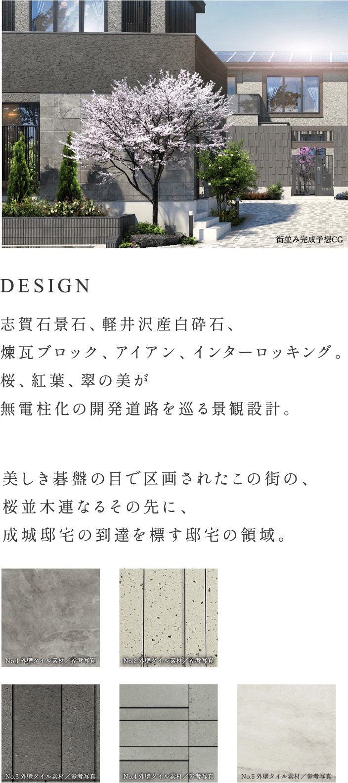 Image Photo
