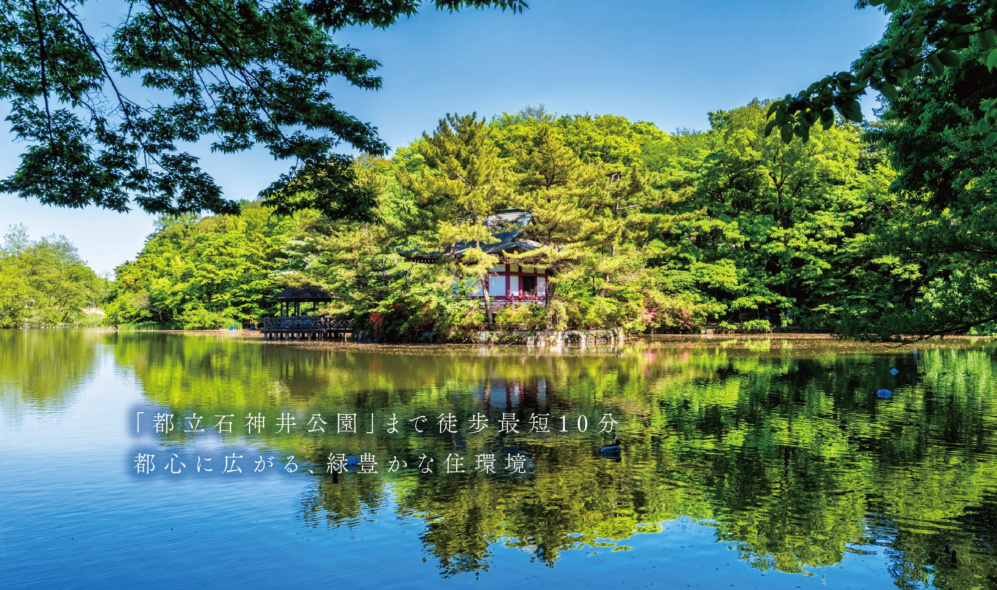 都立石神井公園／徒歩10分（№1〜4、8）、徒歩11分（№5〜7）（2023年11月撮影）