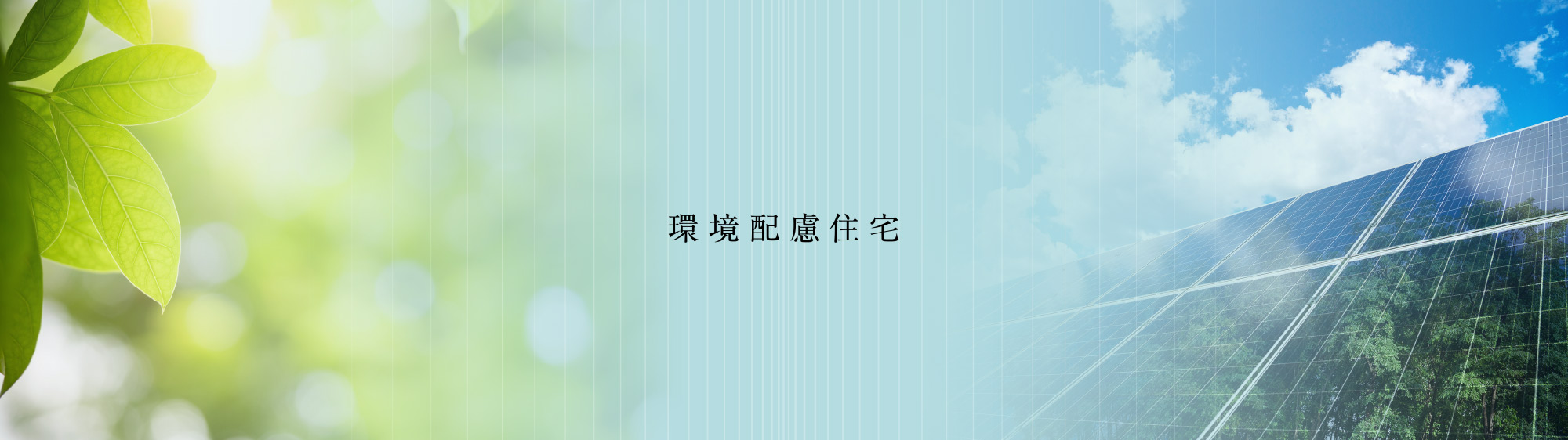 Image Photo