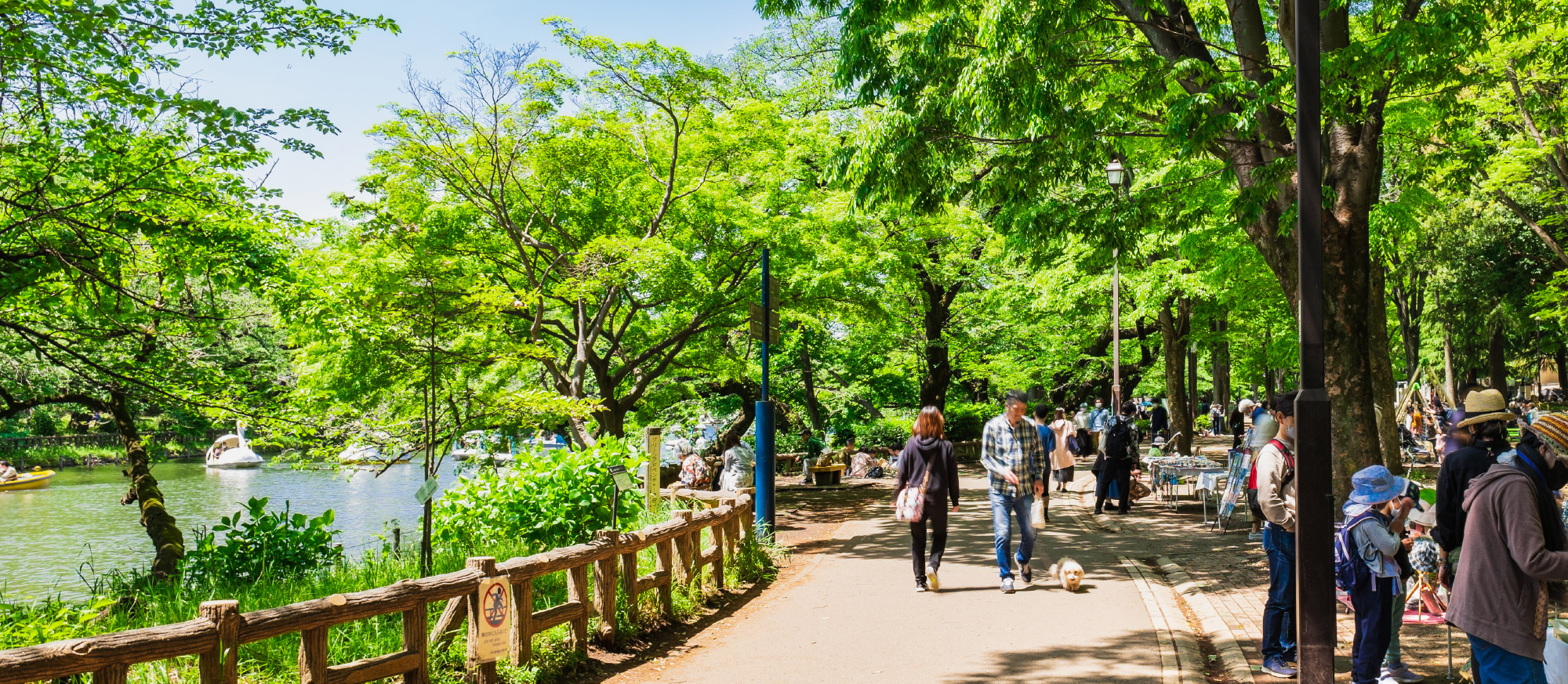 都立井の頭恩賜公園／徒歩14分（No.6）・徒歩15分（No.1〜5）