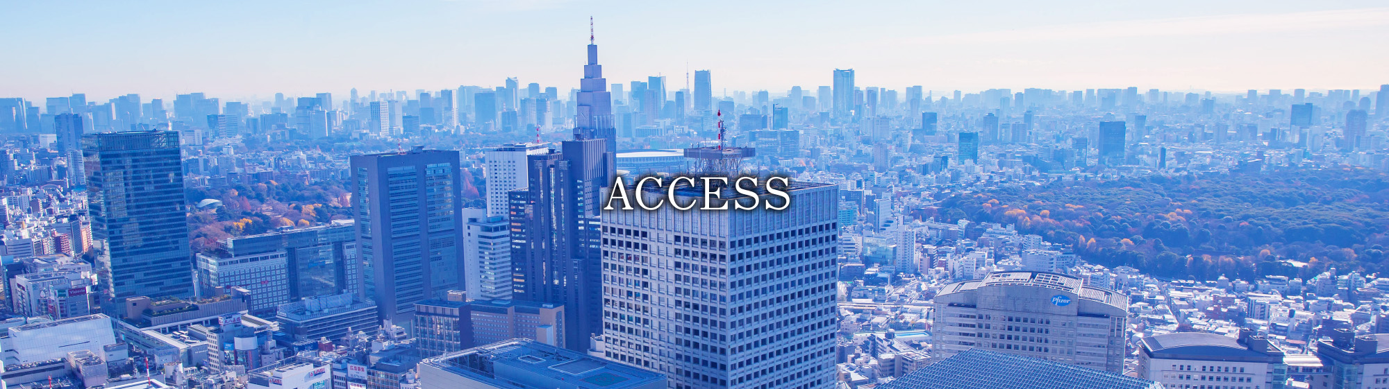 新宿