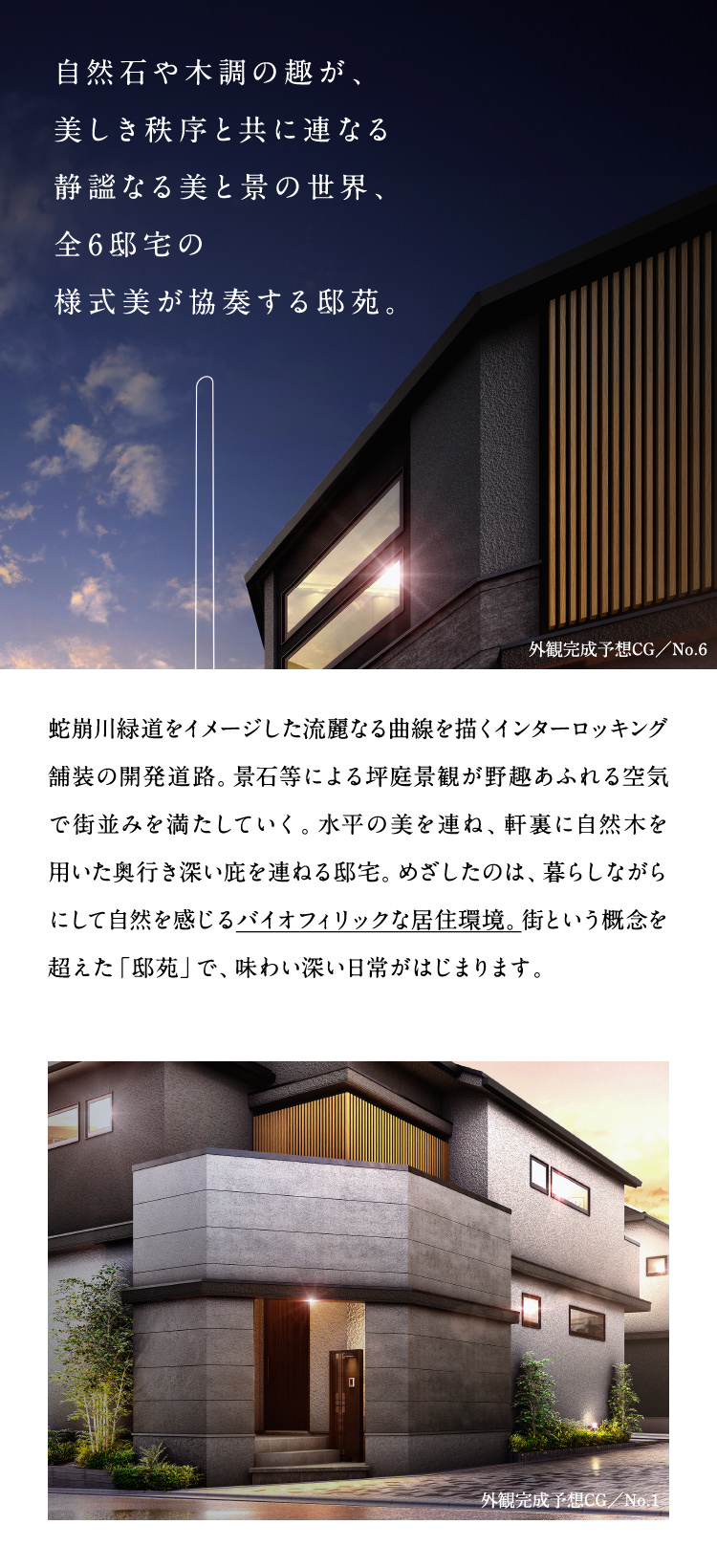 まえがみ様確認ページ ビーサイドムービー】 みてコレ！コレクションシリーズ 『どれ
