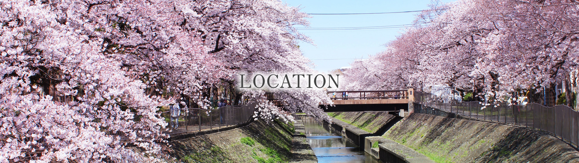 都立和田堀公園（徒歩9分）※No.1・2