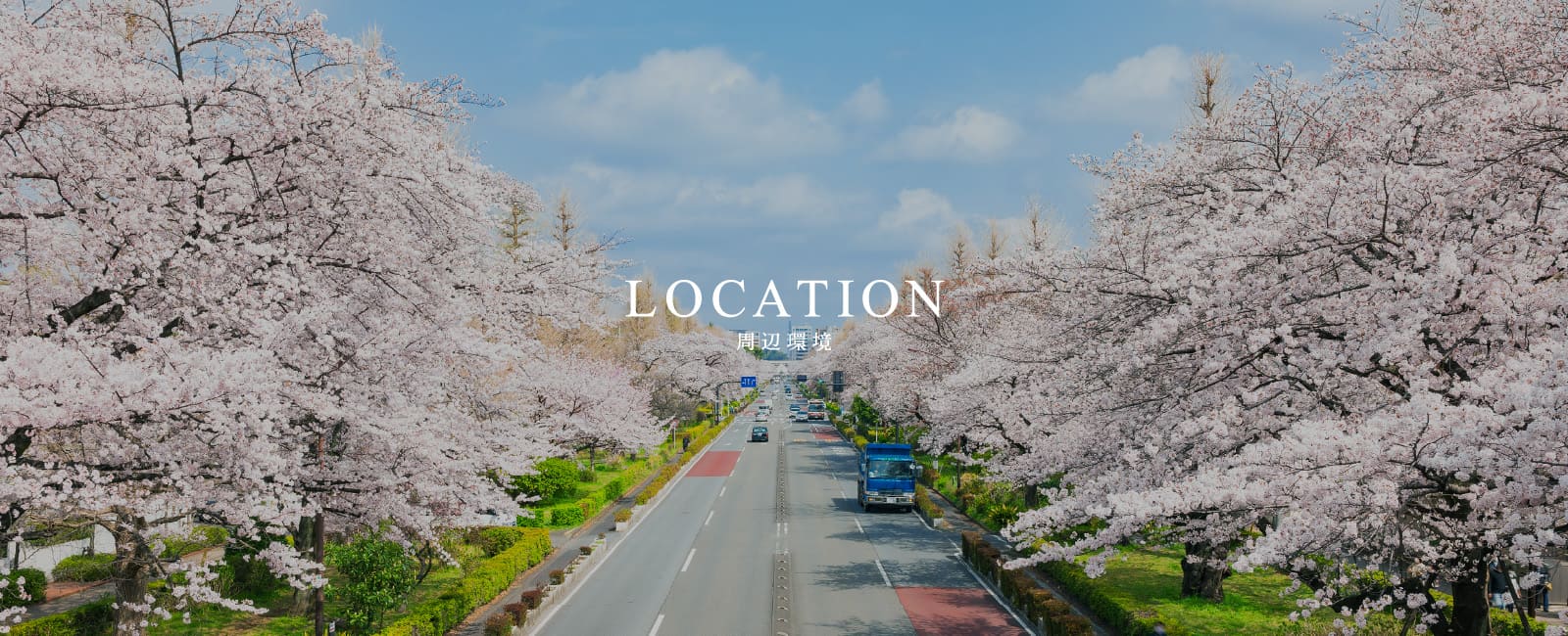 大学通り（歩道橋）／約2.4km（No.1〜8）※2022年3月撮影