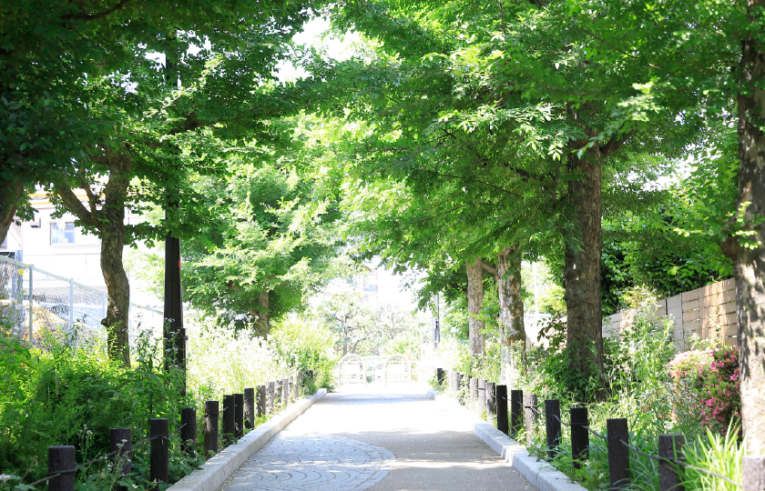 蛇崩川緑道