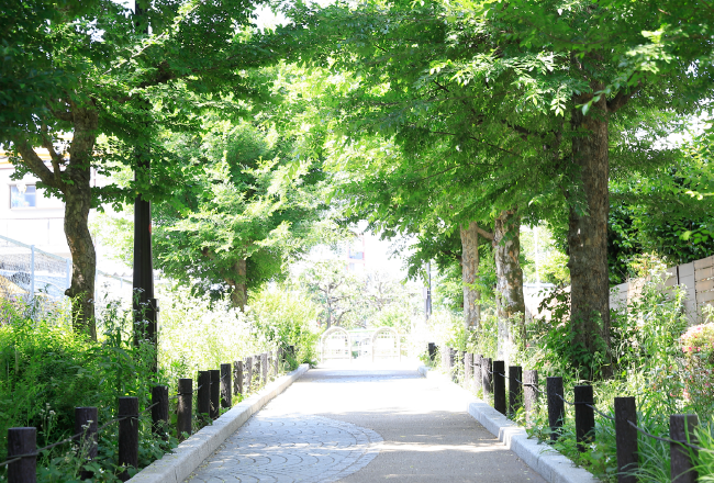 蛇崩川緑道／徒歩3分（No.1〜4）