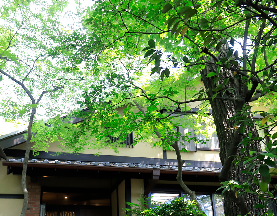 世田谷美術館分館 向井潤吉アトリエ館／徒歩1分（No.1〜4）