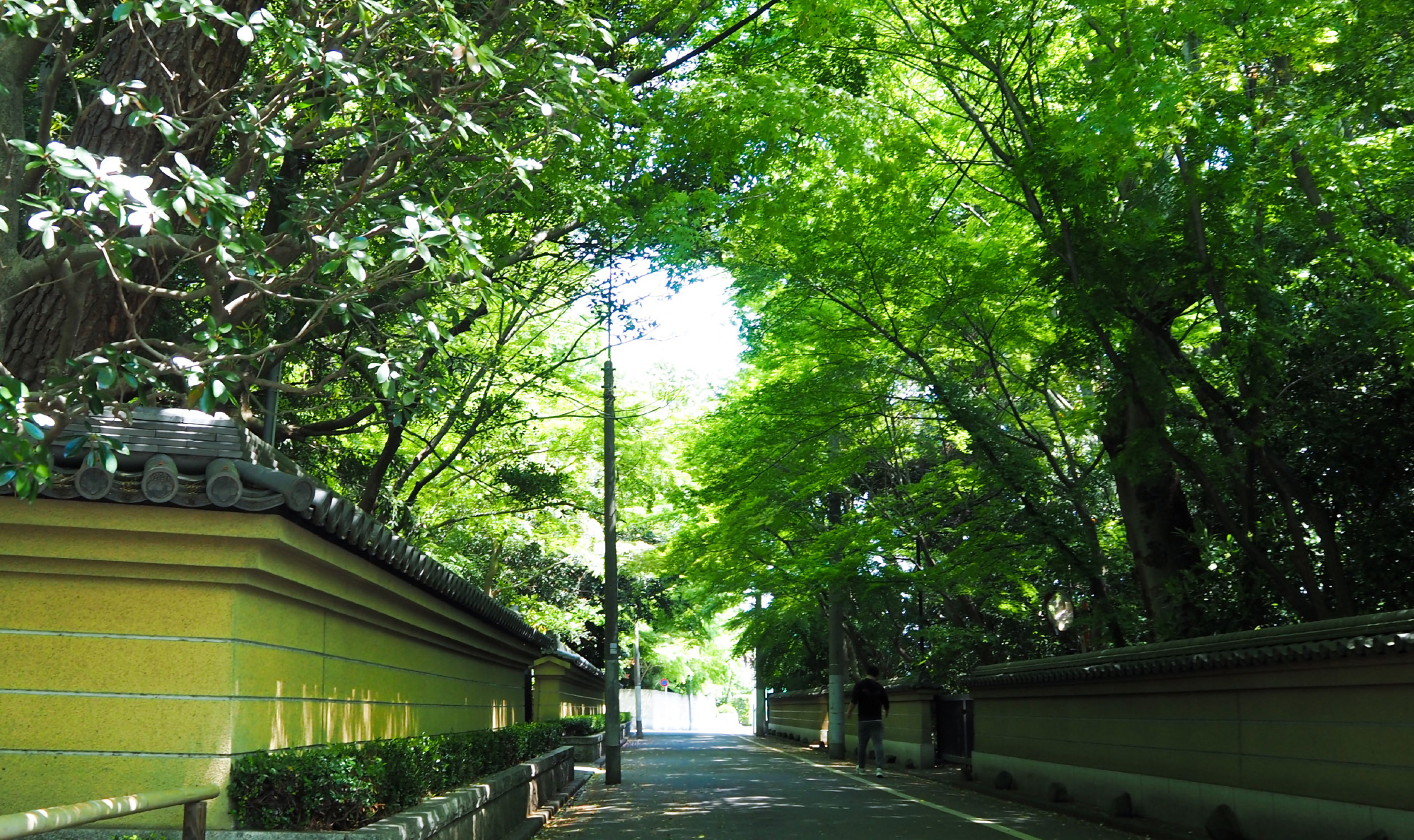 現地周辺の街並み（観泉寺）：徒歩4分