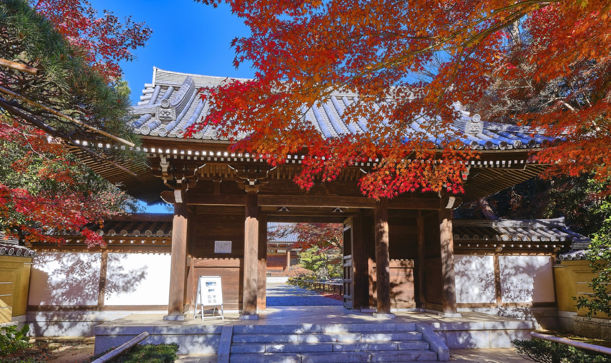 観泉寺庭園：徒歩4分