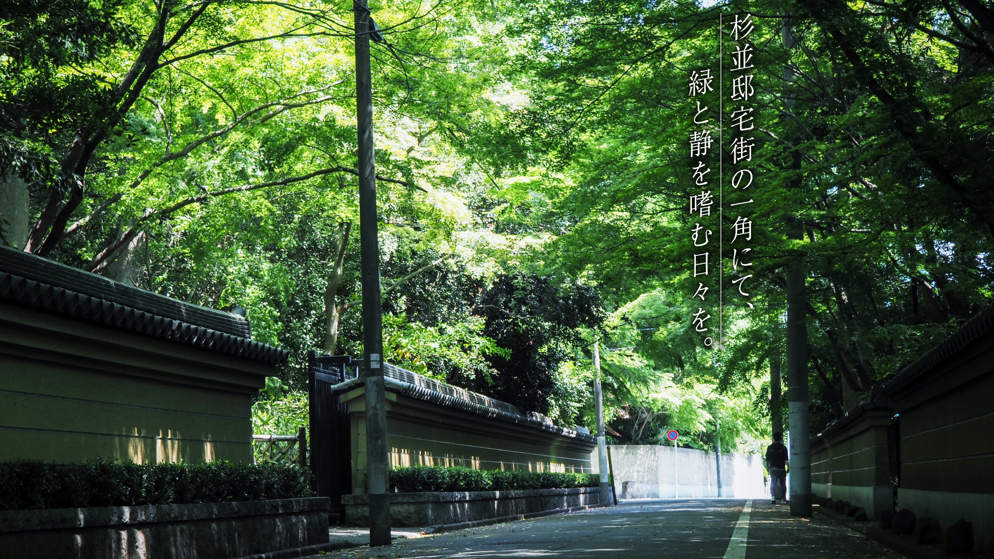 現地周辺の街並み（観泉寺）：徒歩4分