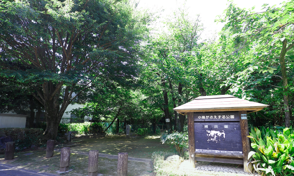 区立小鳥がさえずる公園