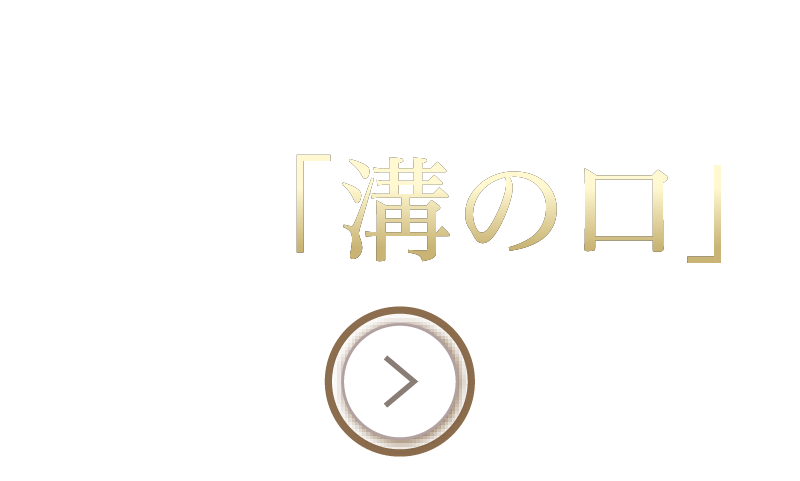 「渋谷」駅「大手町」駅直通
急行停車駅「溝の口」