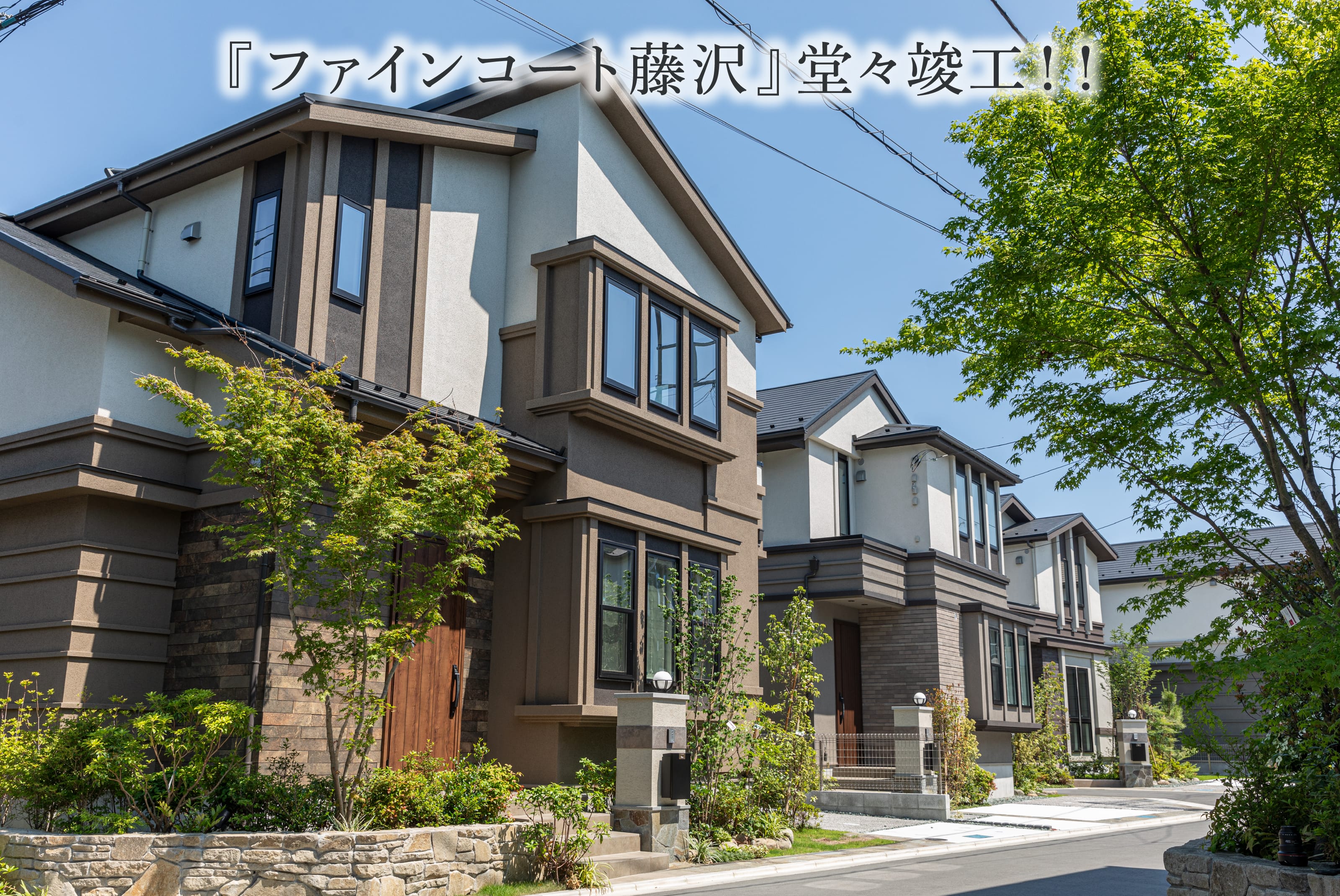 ファインコート藤沢現地（2025年6月撮影）