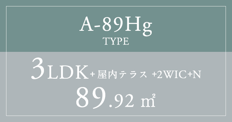 A-89Hg TYPE