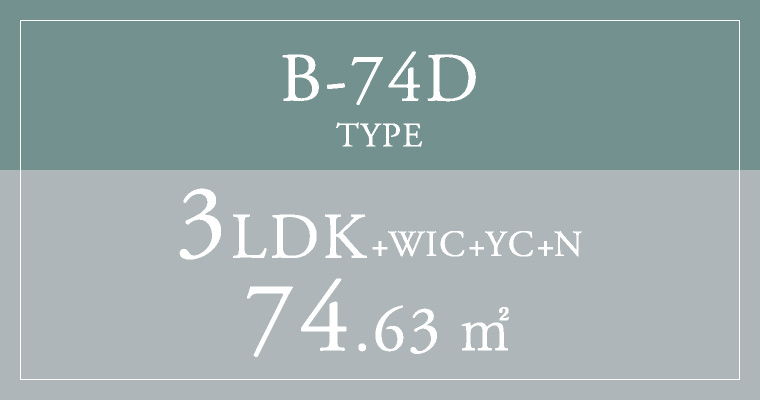 B-74D TYPE