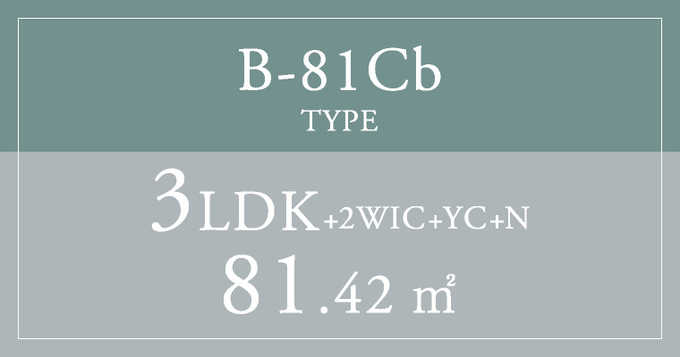B-81Cb TYPE