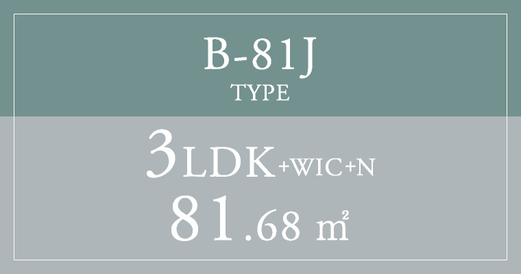B-81J TYPE