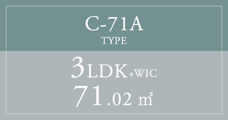 C-71A TYPE