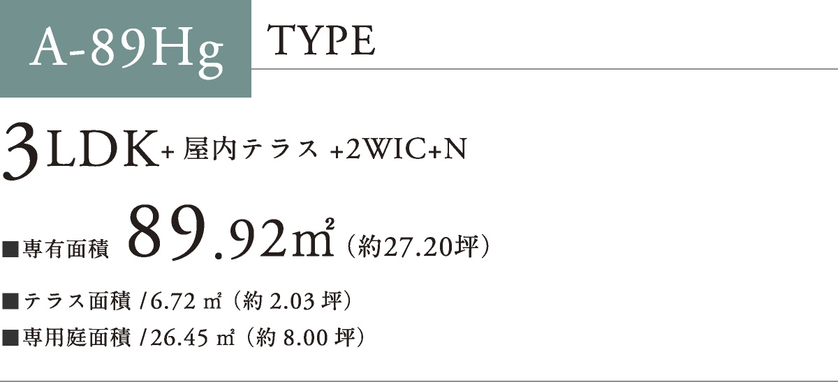 A-89Hg TYPE