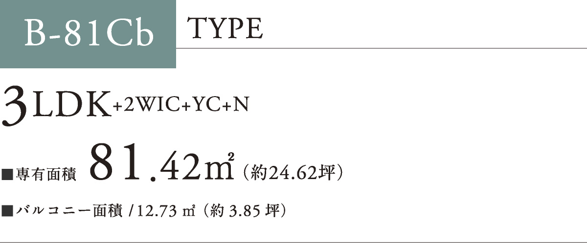B-81Cb TYPE