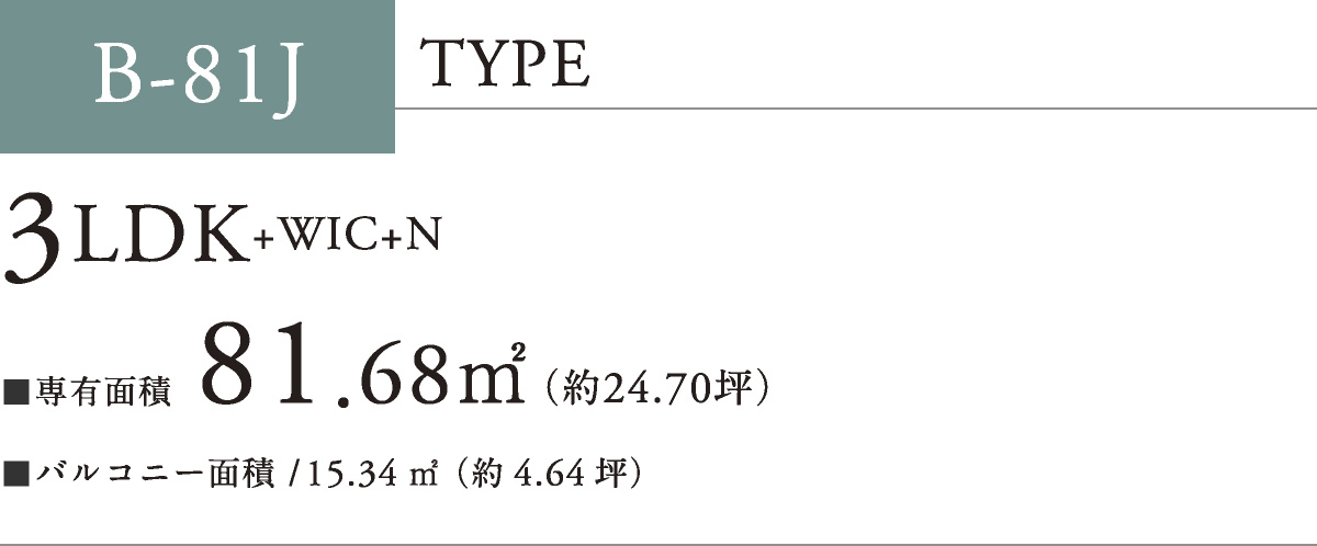 B-81J TYPE