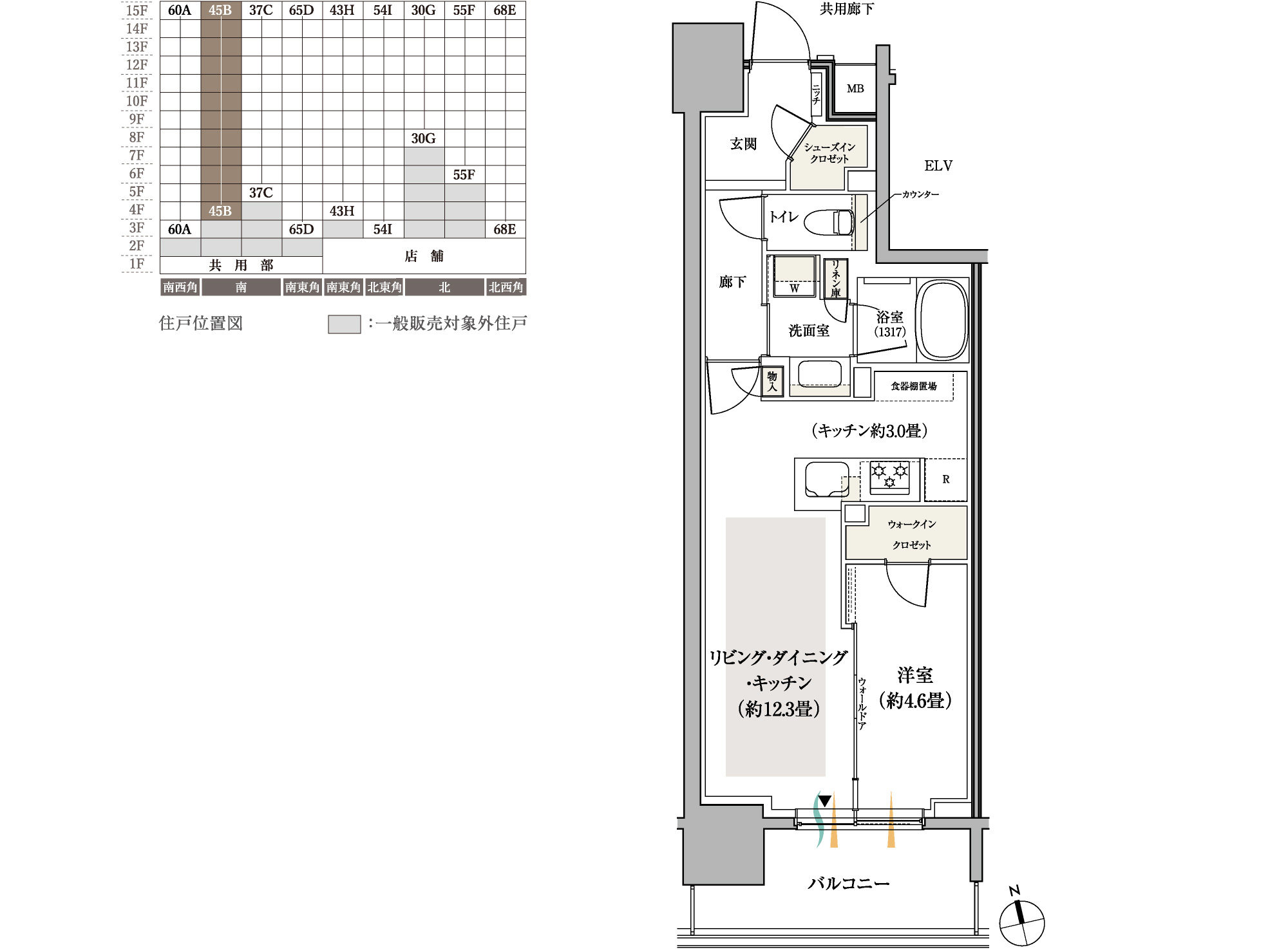 45B TYPE