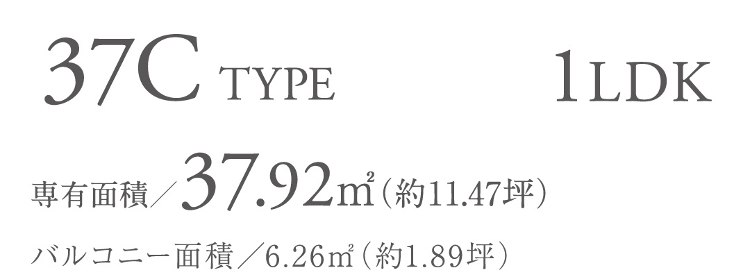 会長　12台分 Amazon | HLC卓球台 国際規格サイズ卓球台 折りたたみ式 壁打ち