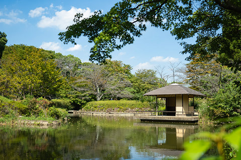 柏の葉公園（徒歩15分）