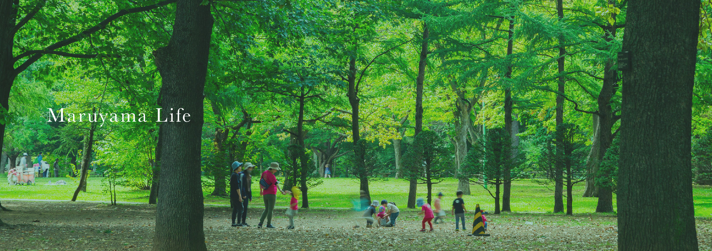 円山公園（2020年9月撮影）