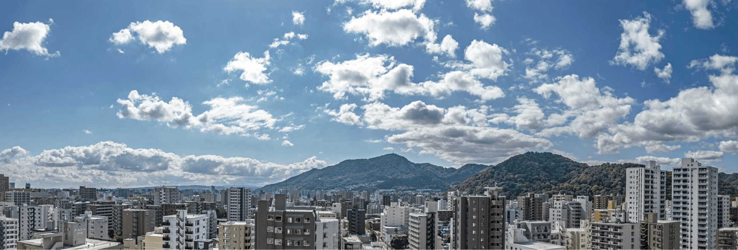 現地15階相当の高さ（約43m）から南側方向を撮影（2024年9月）