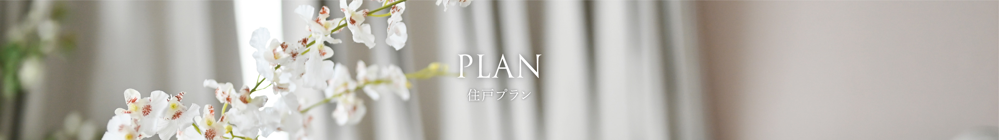 image photo