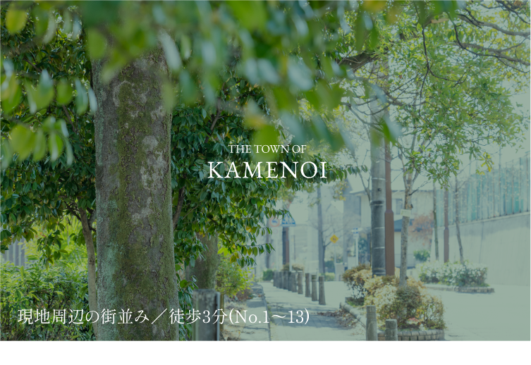THE TOWN OF KAMENOI