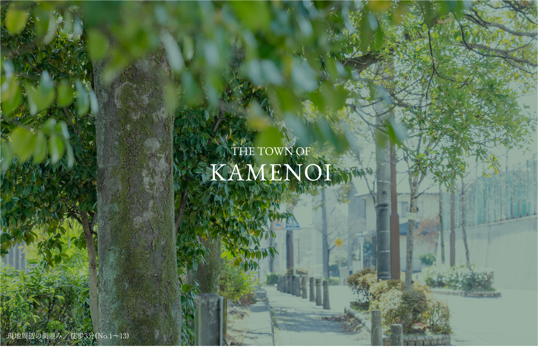 THE TOWN OF KAMENOI