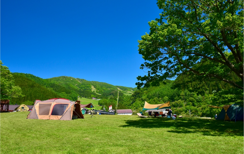 めいほう高原　キャンプフィールド