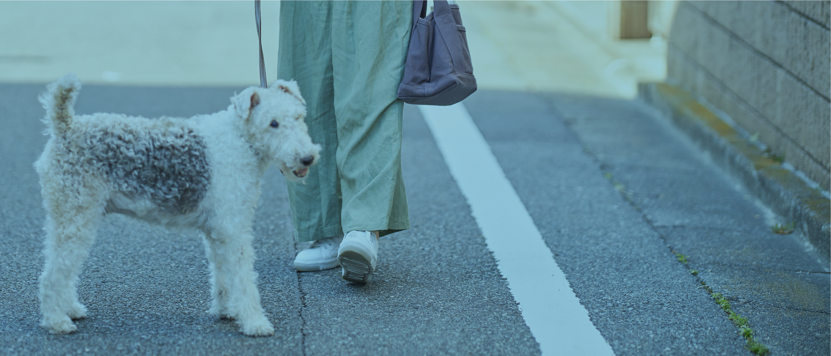 四季を身近に感じる、亀の井の豊かさ