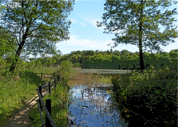 牧野ヶ池緑地公園