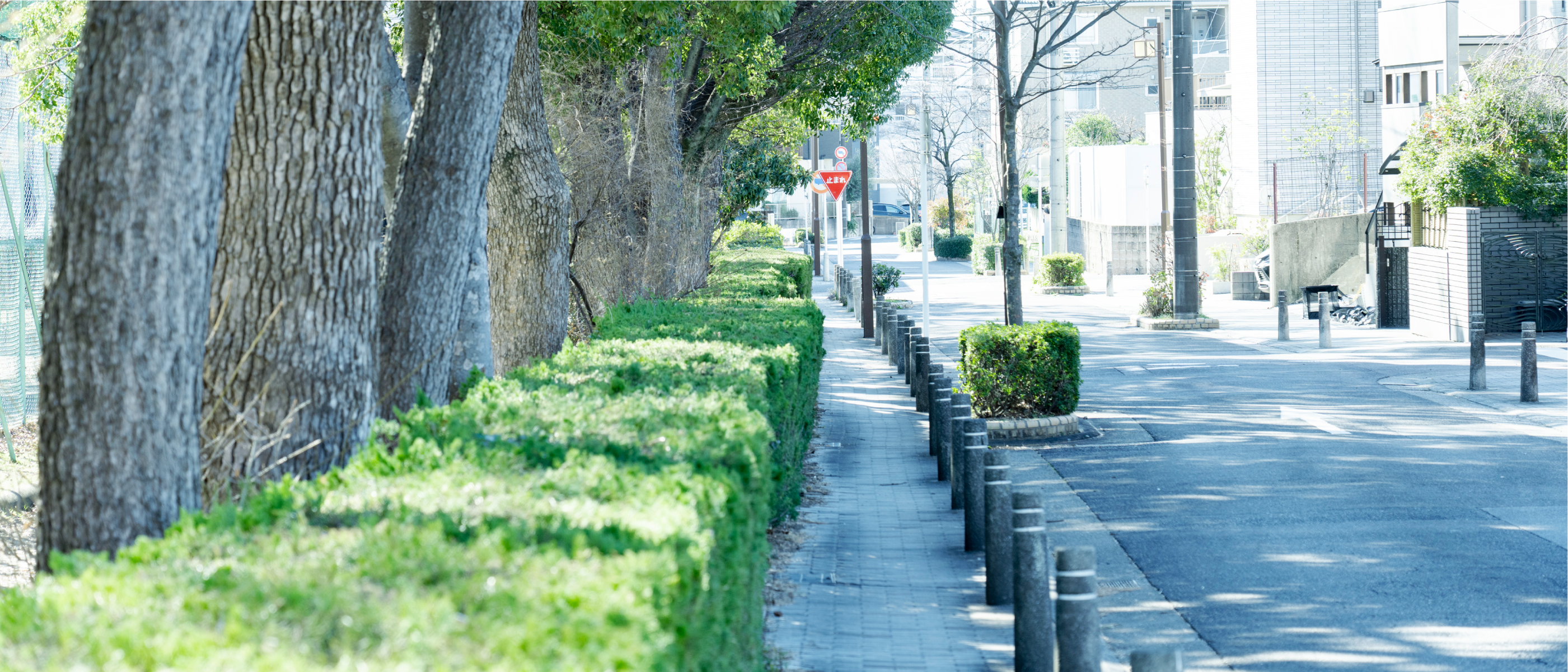 現地周辺の街並み