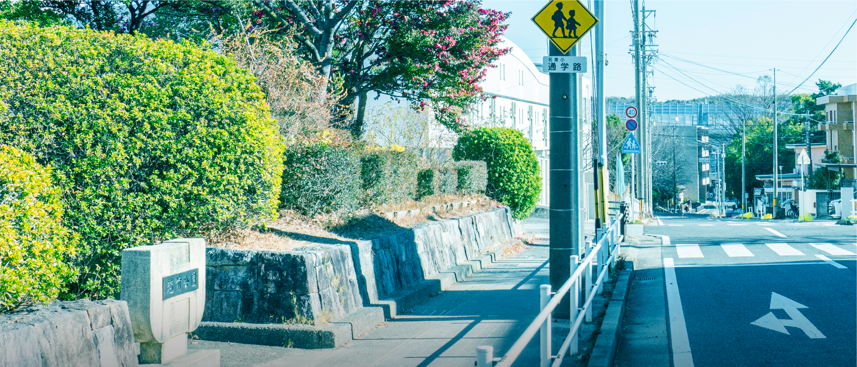 現地周辺の街並み